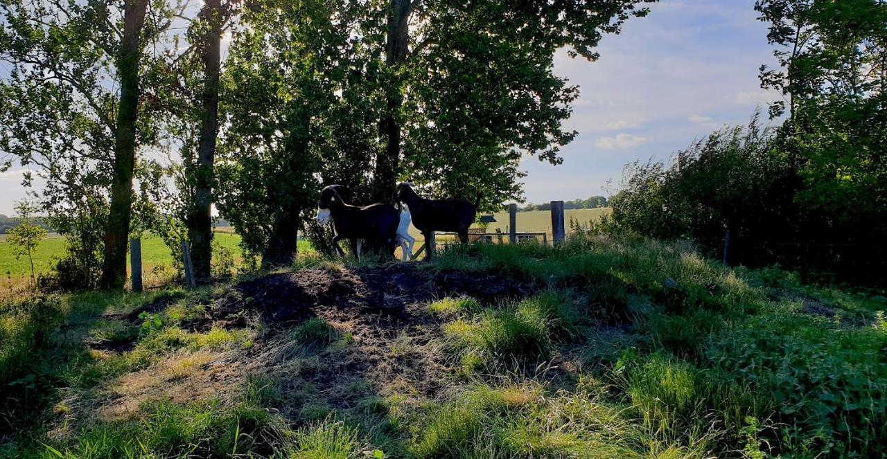 Farmors Hus Aparthotel Rude  Exteriör bild